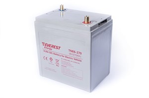 Everest TNE 6-270 (6В, 235Ач) - тяговый гелевый аккумулятор TNE 6-270 - фото 4682