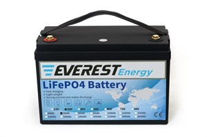 Everest Energy 24V50А - литиевый тяговый аккумулятор Everest Energy 24V50А - фото 4757