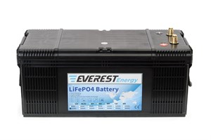 Everest Energy 24V160А- литиевый тяговый аккумулятор 24V160А - фото 4785