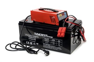 Everest Energy 24V100A -автоматическое зарядное устройство литиевых акб 24V100A - фото 4803