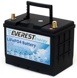 Everest Energy LFP-24V40Аh - литиевый тяговый аккумулятор 244040 - фото 6293