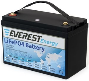 Everest Energy LFP-24V50Аh - литиевый тяговый аккумулятор 245050 - фото 6294