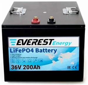 Everest Energy LFP-36V200Аh - литиевый тяговый аккумулятор 256065 - фото 6304