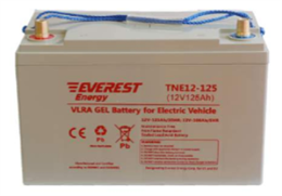 Everest TNE 12-125 (12В, 106Ач) - тяговый гелевый аккумулятор TNE 12-125