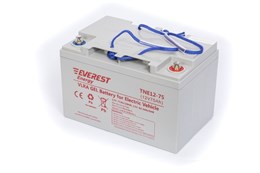 Everest TNE12-75 - Тяговый аккумулятор, GEL TNE12-75