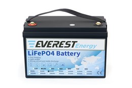 Everest Energy 24V60А - литиевый тяговый аккумулятор Everest Energy 24V60А