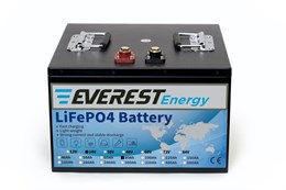 Everest Energy 24V80А - литиевый тяговый аккумулятор Everest Energy 24V80А