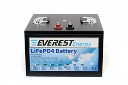 Everest Energy 24V100А - литиевый тяговый аккумулятор Everest Energy 24V100А