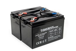 Everest Energy 24V108А (54A+54A)- литиевый тяговый аккумулятор 24V108А (54A+54A)