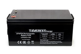 Everest Energy 24V154А- литиевый тяговый аккумулятор 24V154А