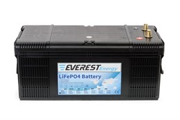 Everest Energy 24V160А- литиевый тяговый аккумулятор 24V160А