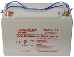 Everest TNE 12-125 - тяговый аккумулятор 266102