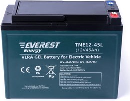 Everest TNE 12-45L - тяговый аккумулятор 266096