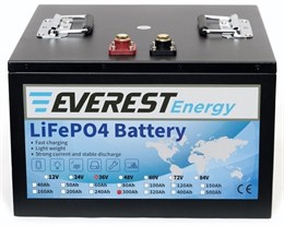 Everest Energy LFP-36V300Аh - литиевый тяговый аккумулятор 256066