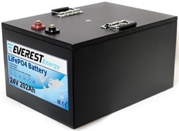 Everest Energy LFP-24V300Ah - литиевый тяговый аккумулятор 256064