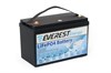 Everest Energy 24V50А - литиевый тяговый аккумулятор Everest Energy 24V50А - фото 4758