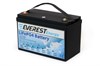 Everest Energy 24V50А - литиевый тяговый аккумулятор Everest Energy 24V50А - фото 4759