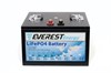 Everest Energy 24V100А - литиевый тяговый аккумулятор Everest Energy 24V100А - фото 4775